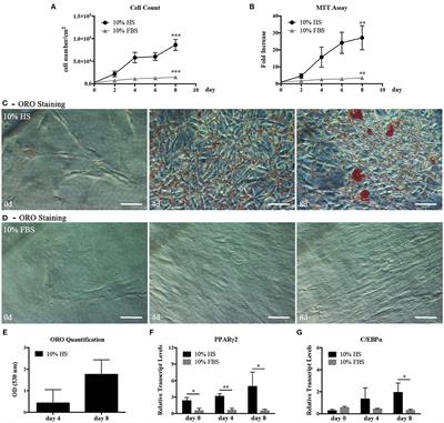 Platelet Lysate Activates Human Subcutaneous Adipose Tissue Cells by Promoting Cell Proliferation and Their Paracrine Activity Toward Epidermal Keratinocytes